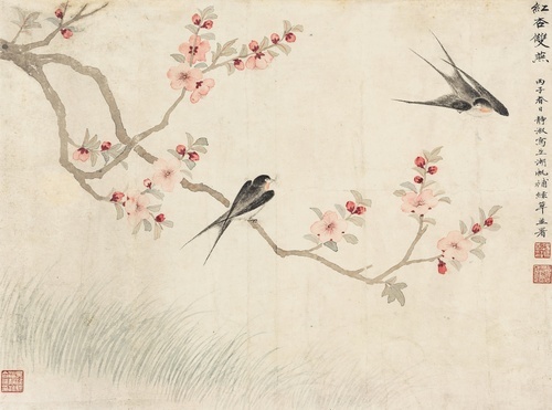 Red Apricot and Swallows
