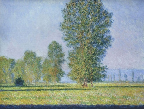 1888 Meadow at Limetz