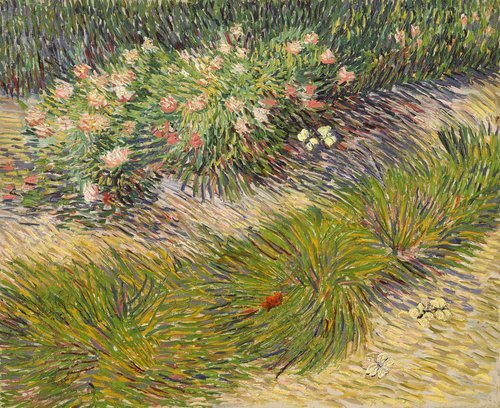 Grass and Butterflies
