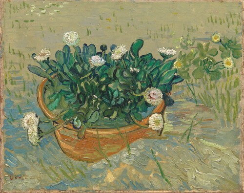 Daisies, Arles