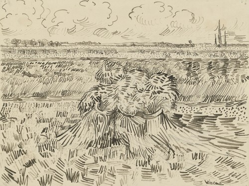 Fields with Harvested Grain Bundles