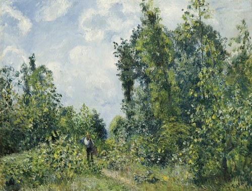 Orman Kenarı