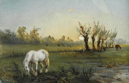 White Horse in a Meadow