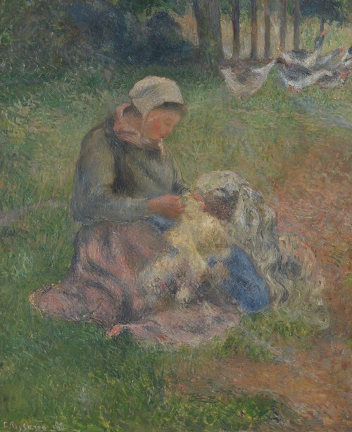 A Wool-Carder