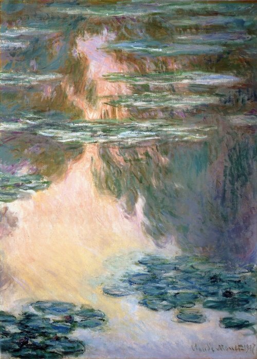 Water Lilies