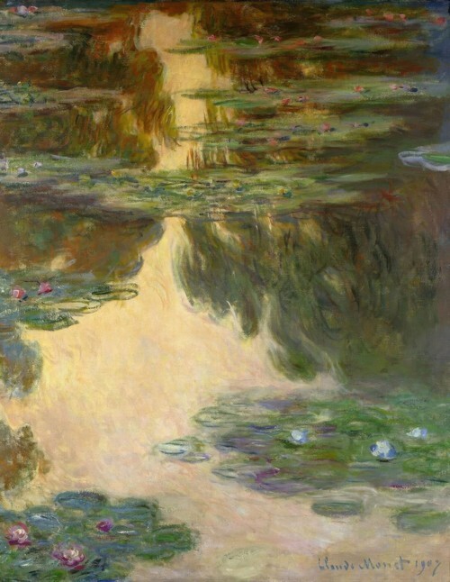 Water Lilies