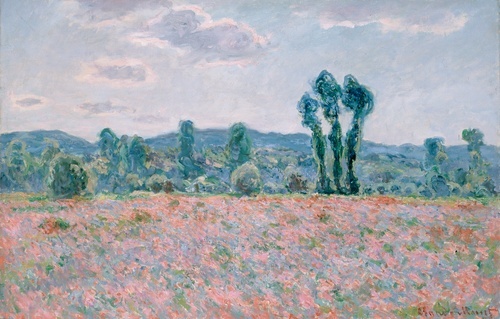 Poppy Field