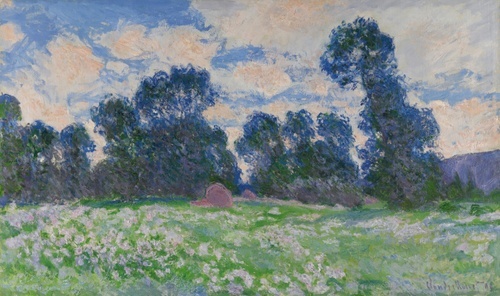 Prairie, cloudy sky