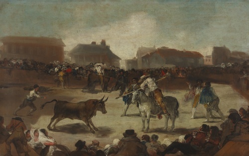 Bullfight