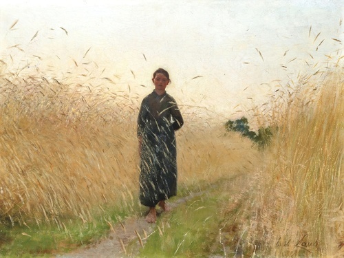 The Corn Field Road