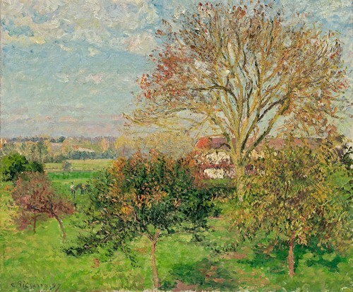 The Big Walnut Tree, Autumn Morning, Éragny