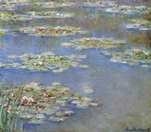 Water Lilies