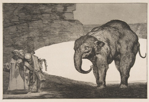 Animal Folly