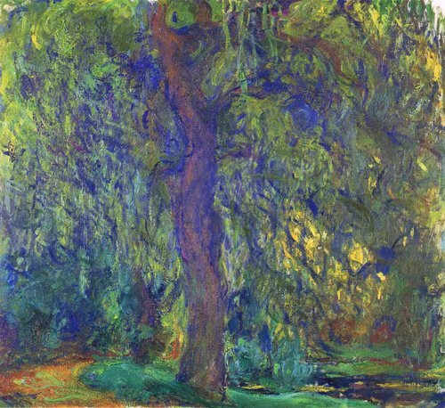 Weeping Willow