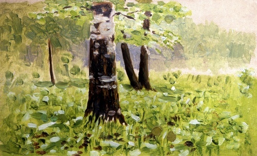 Clearing in the Forest. Shore of the Lake 1893