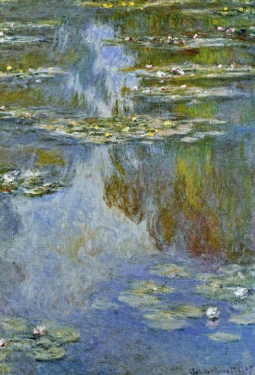 Water Lilies