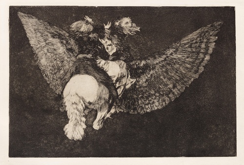 Follia volante