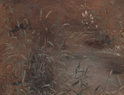 Rushes by a pool 1821