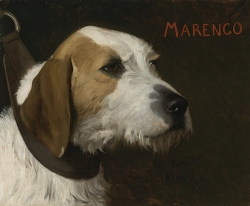 Marenco