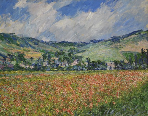 Champ de coquelicots