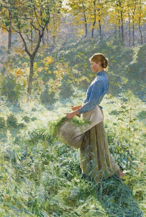 Summer Morning
