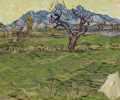 Landscape with olive trees and mountains in the background