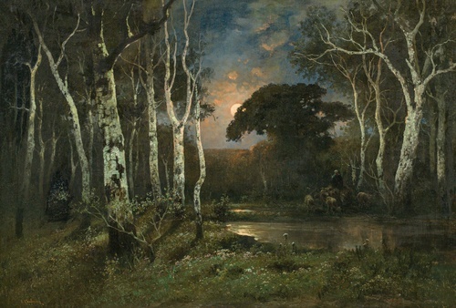 Forest in Moonlight