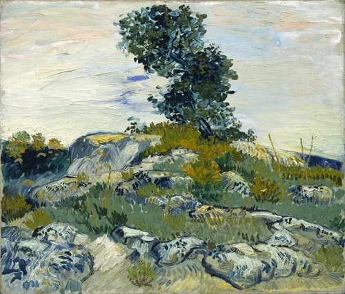 Rocks with Oak Tree
