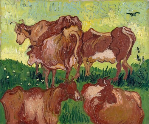 Cows