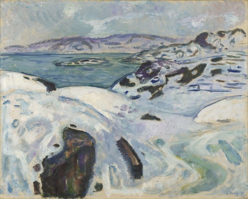 Winter on the Fiord