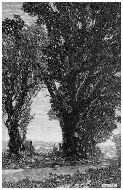 The Old Road
