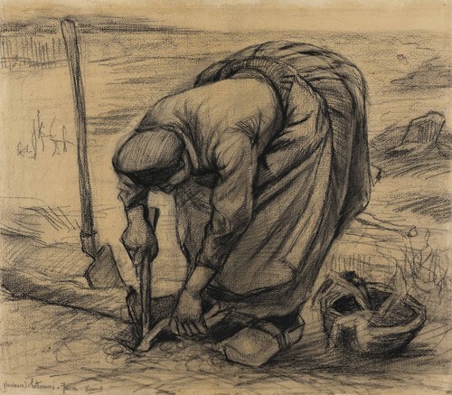 A farmer woman who grows sugar beets