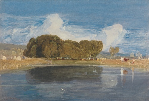A Summer Day