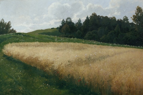 Pole Ovsa