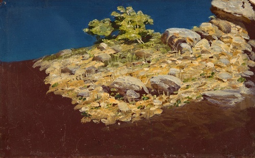 Rocky Slope