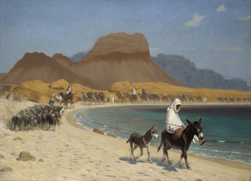 The Gulf of Aqaba