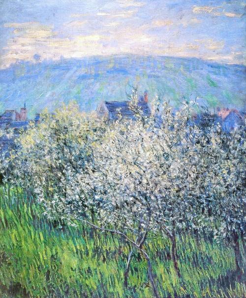 Plum Blossom