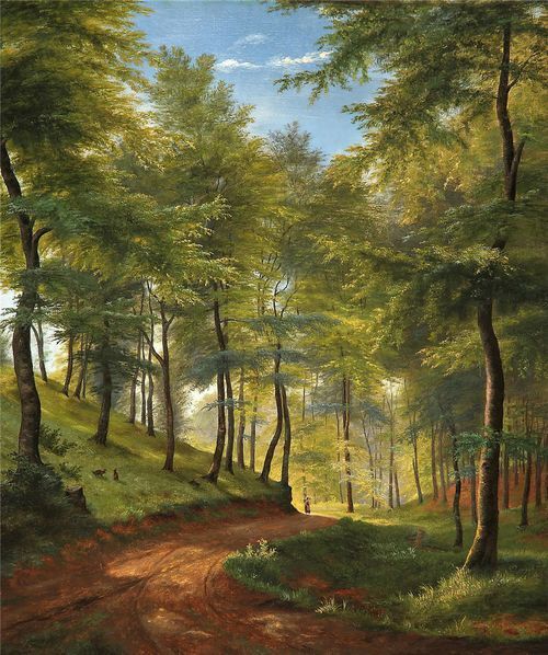 Forest Trail