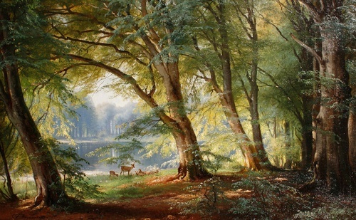 Deer beside a lake
