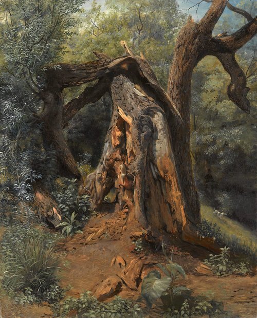 Alter Baum 1859