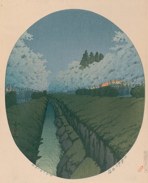 Night Cherry Blossoms of Koganei
