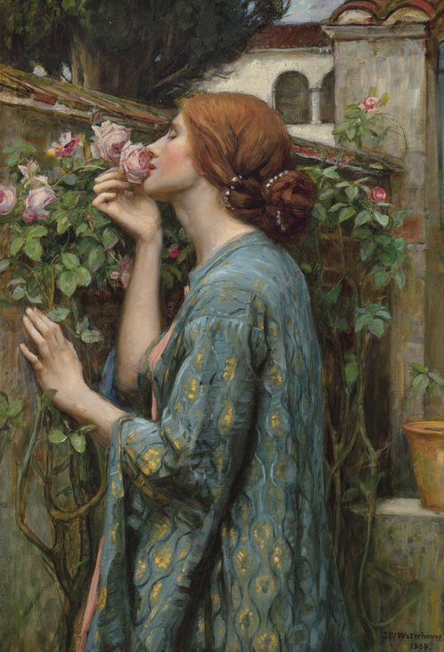 The Soul of the Rose