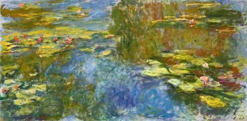 Water Lilies