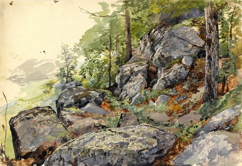 Woodland Boulders