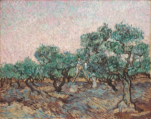 Women Picking Olives