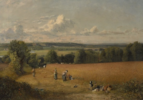 The Harvest