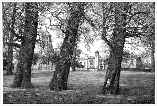 Three Trees