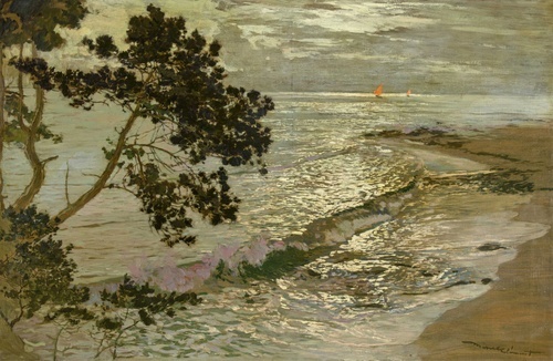 Wave at Lavandou