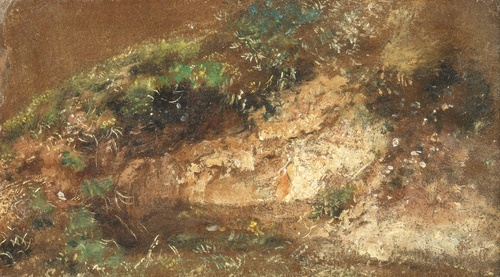 Undergrowth