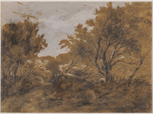 Wooded Landscape, Gust of Wind 1868